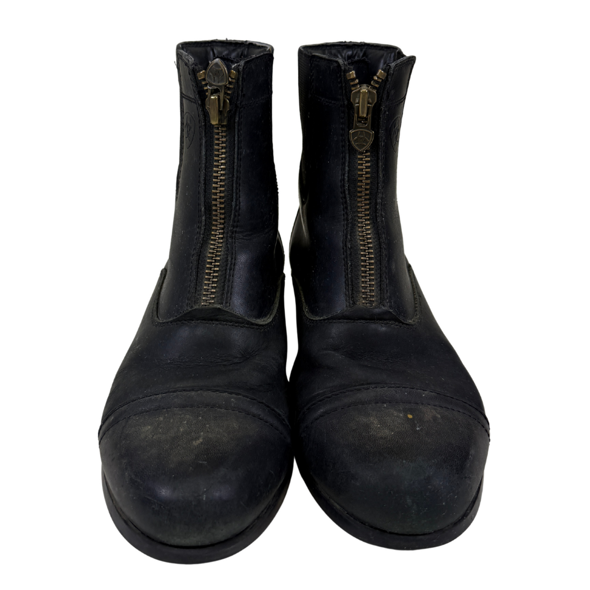 Ariat Scout Paddock Boots in Black