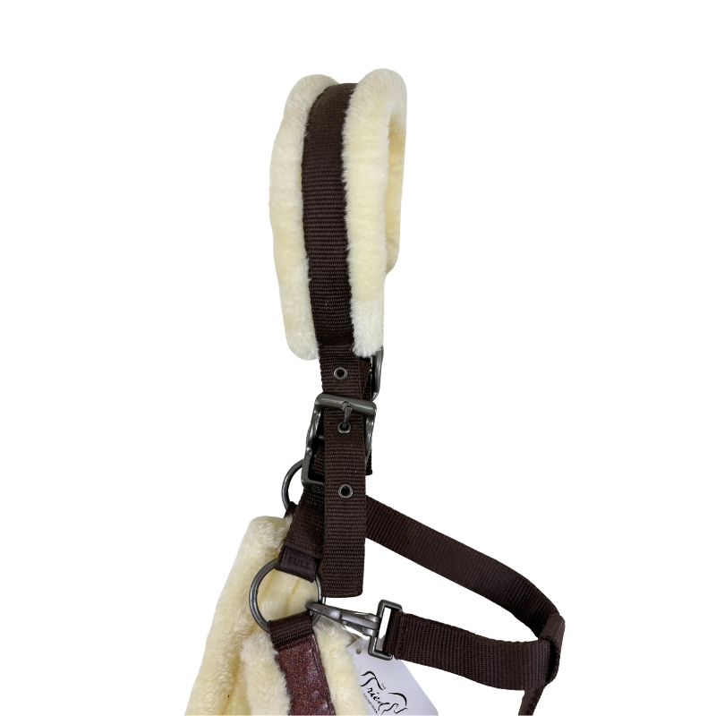 Equitheme Sparkle Horse Halter in Autumn Sparkle