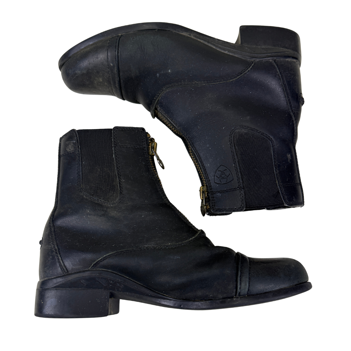 Ariat Scout Paddock Boots in Black