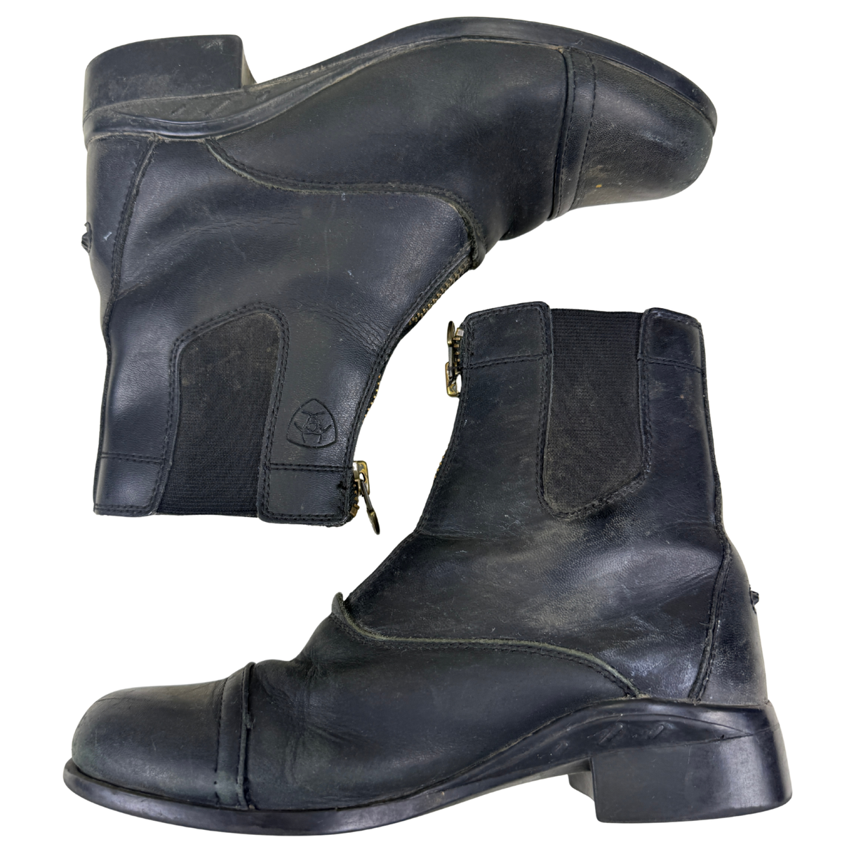Ariat Scout Paddock Boots in Black