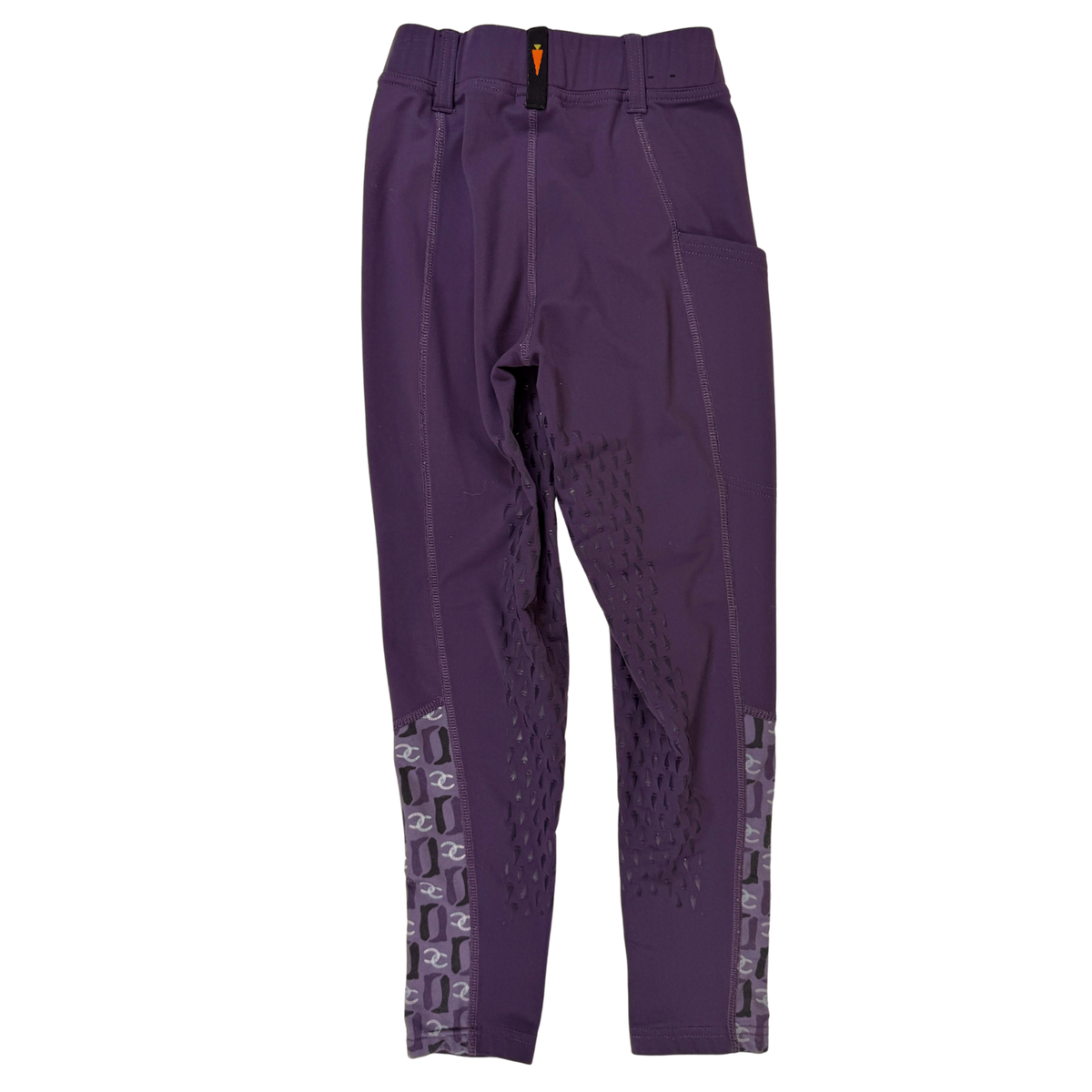 Kerrits 'Thermo Tech 2.0' Full Leg Tight in Purple