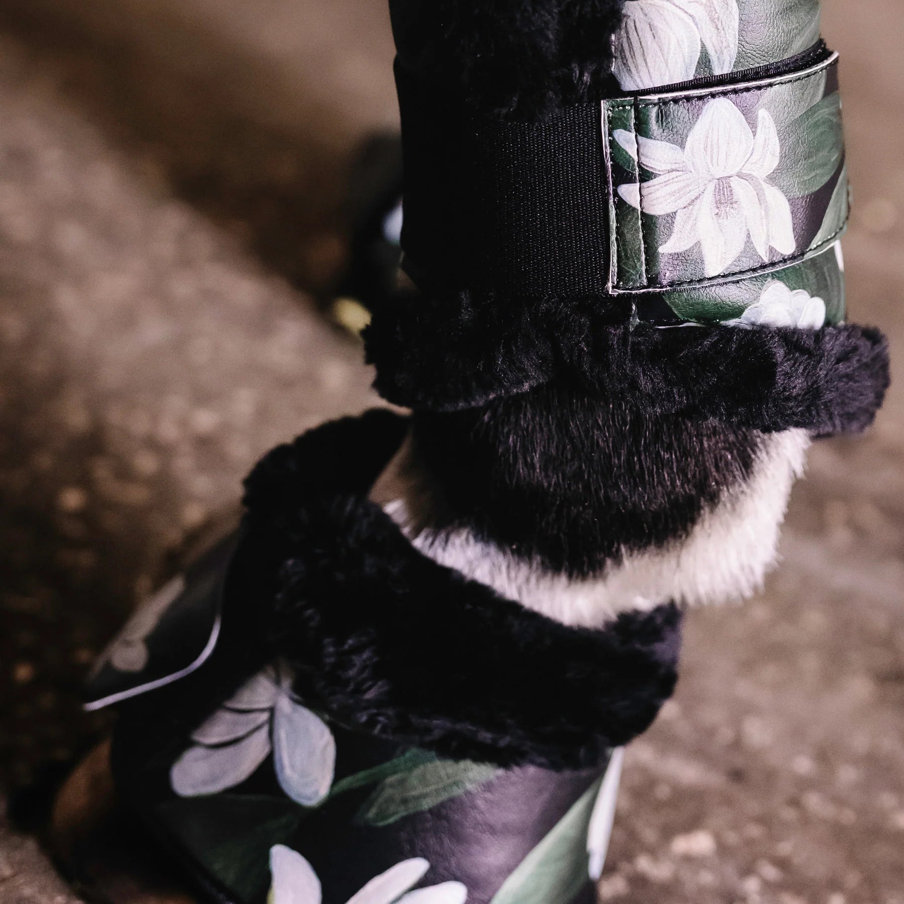 Dapplebay Co. 'Black Magnolia' Floral Brush Boots