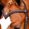 KL Select Black Oak V-Shaped Braided Browband in Brown - Oversized