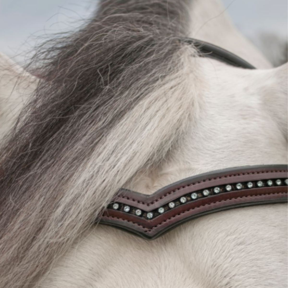 KL Select 'Pirouette' V-Shaped Browband in Brown - Cob