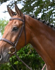 Jump'In WEEK Hunter Bridle in Brown