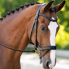 Black Oak 'Palm' Ergonomic Bridle in Black