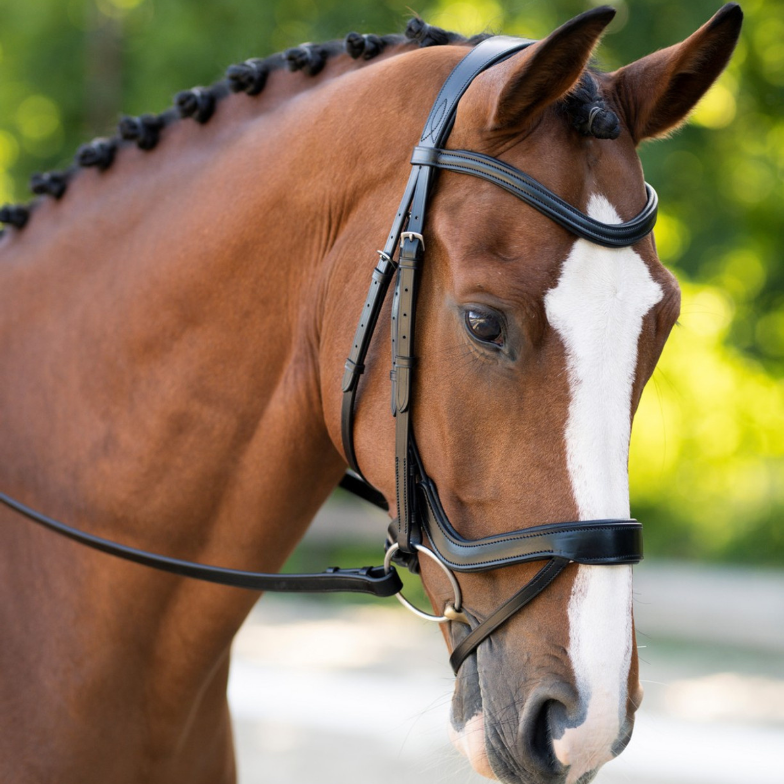 Black Oak 'Palm' Ergonomic Bridle in Black 