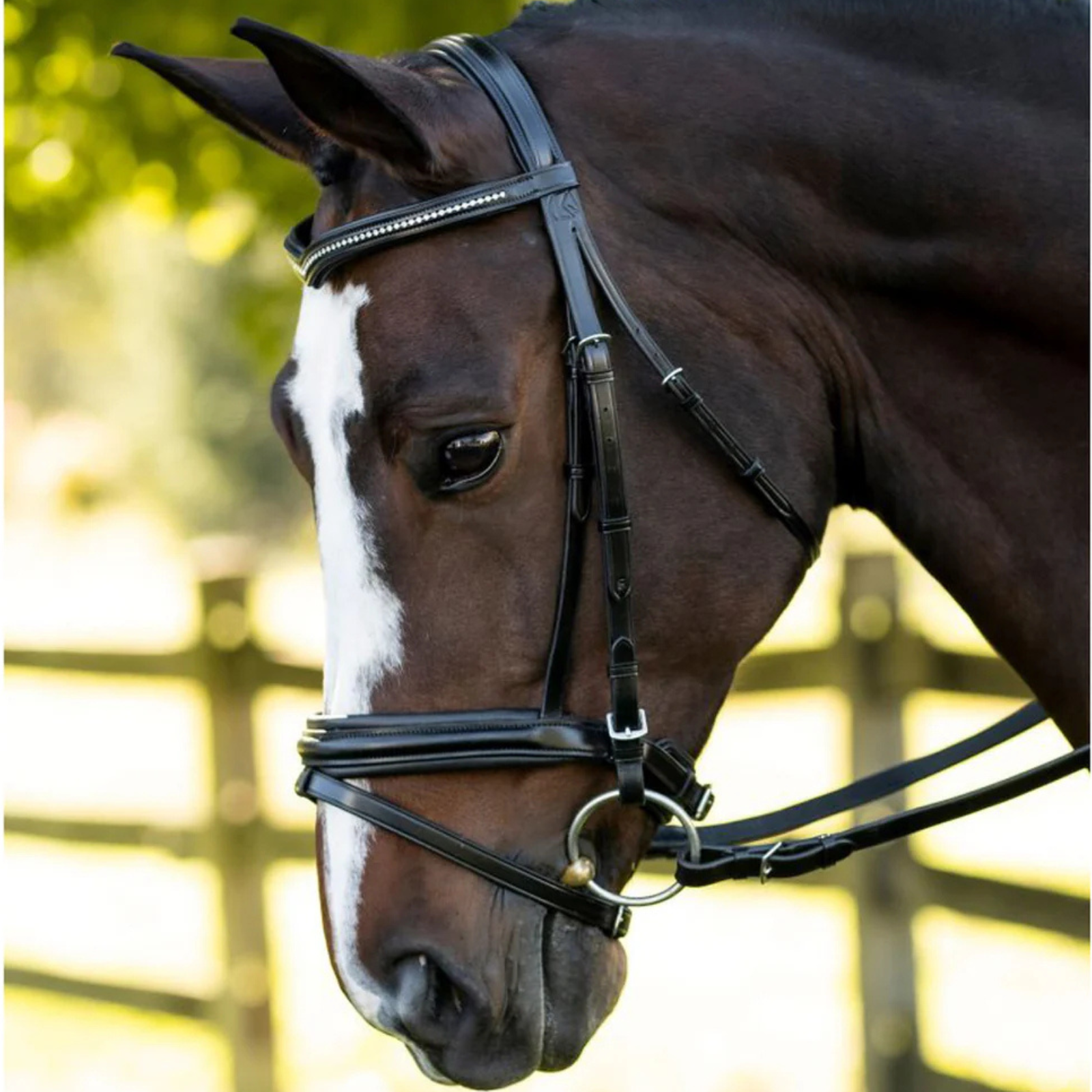KL Select 'Pirouette' Bridle in Black