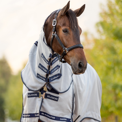 Horse Clothing