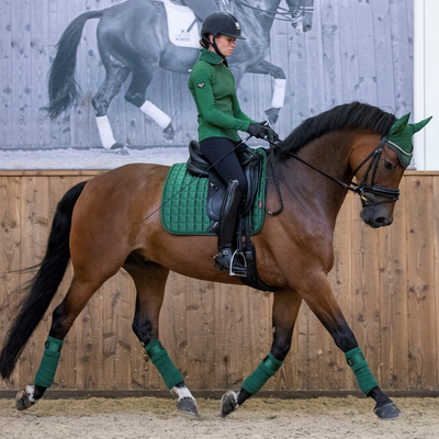 Horse Tack