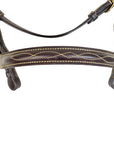 Velociti Clincher Inhand Bridle in Brown