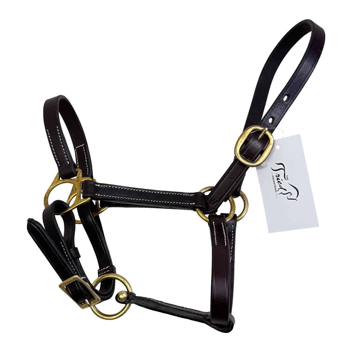 Leather Halter in Havana