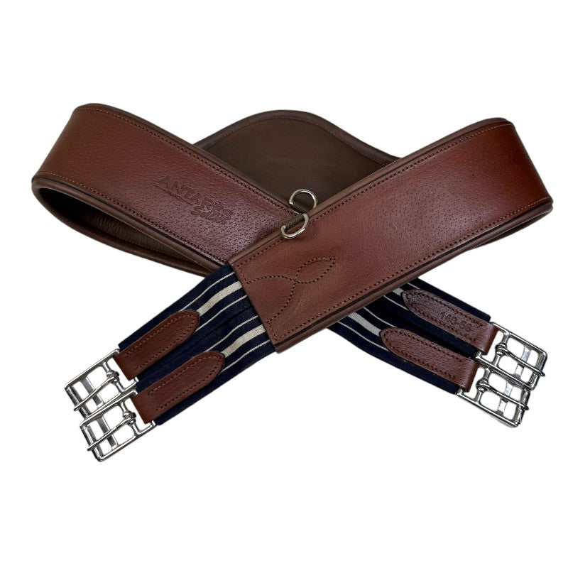 Antares Anatomical Girth in Brown