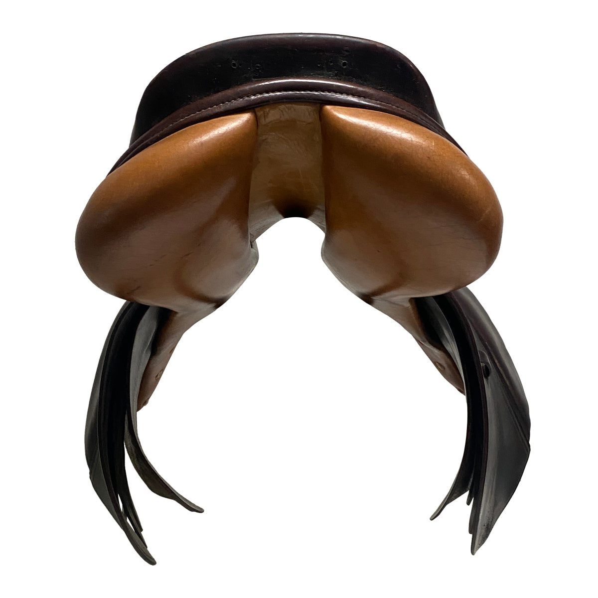 Pessoa Close Contact Saddle in Havana