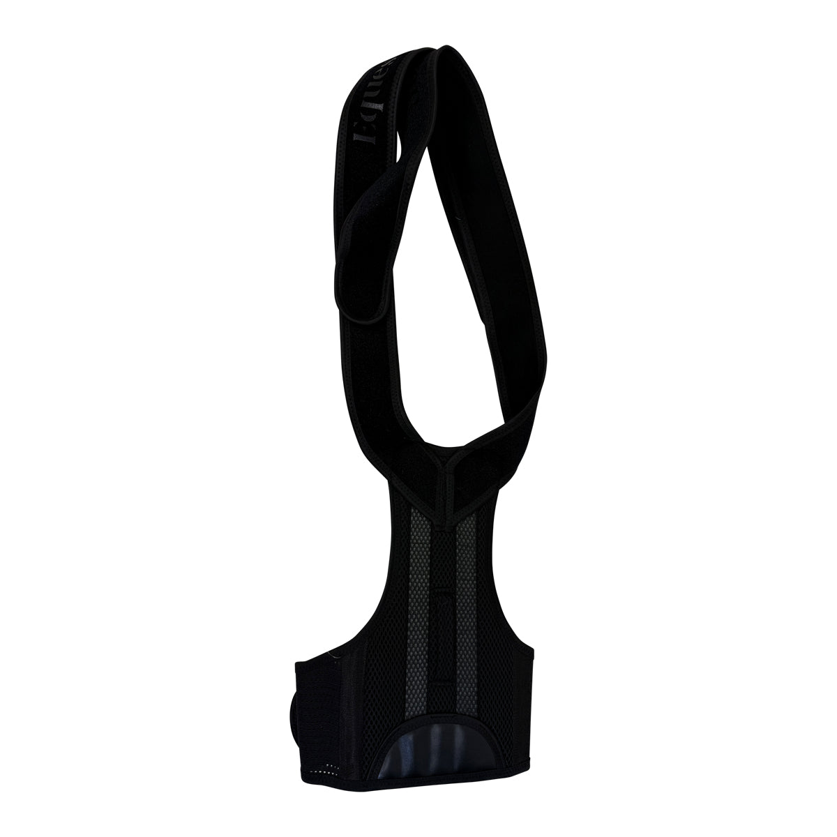 Equestorian Back Brace in Black