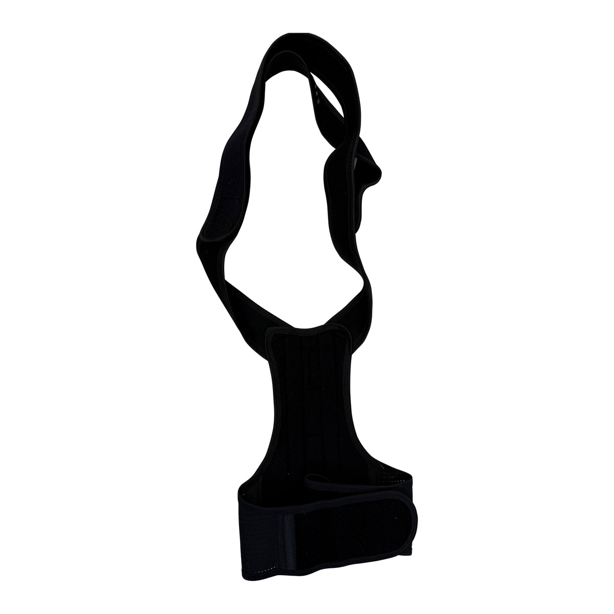 Equestorian Back Brace in Black