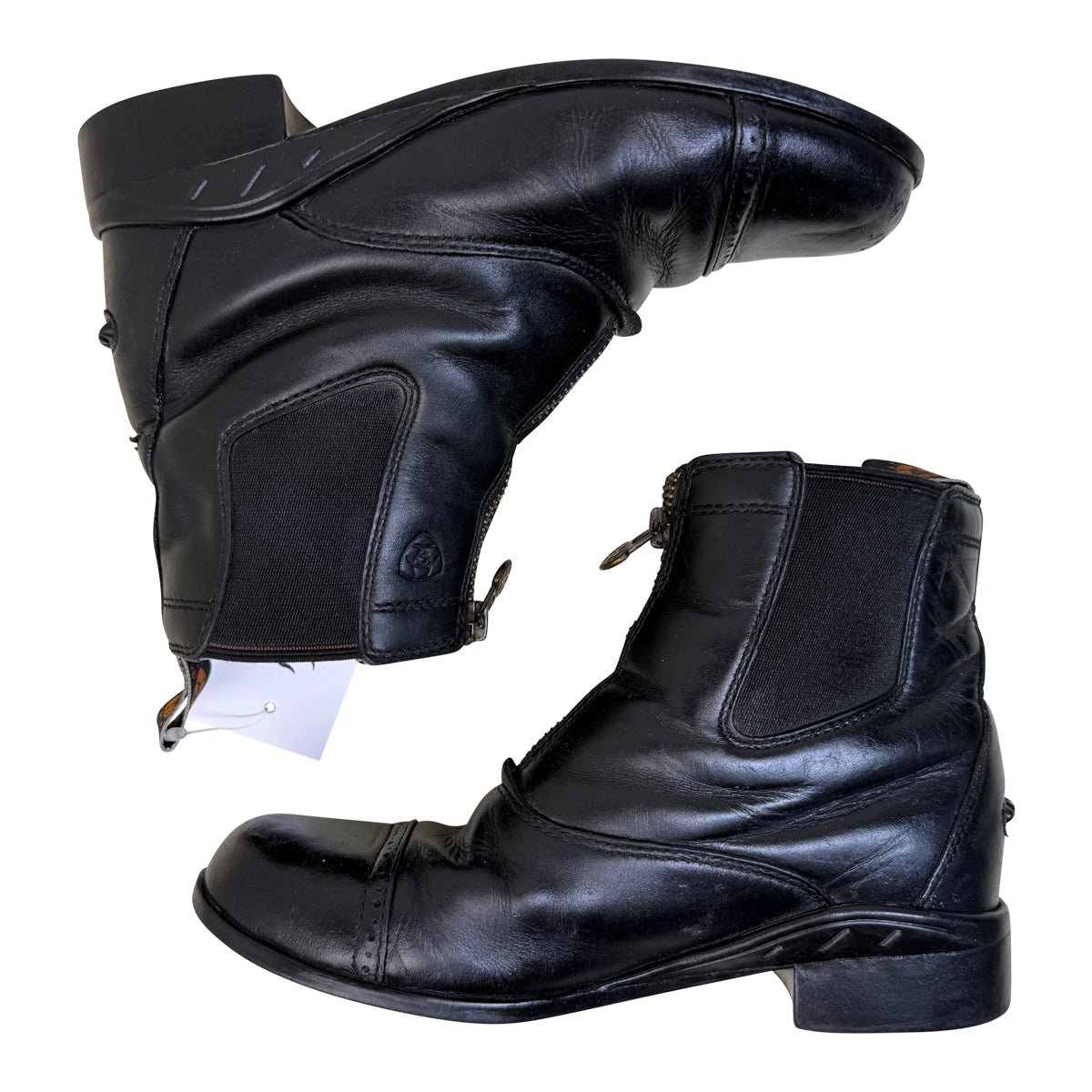 Ariat Devon III Paddock Boots in Black 