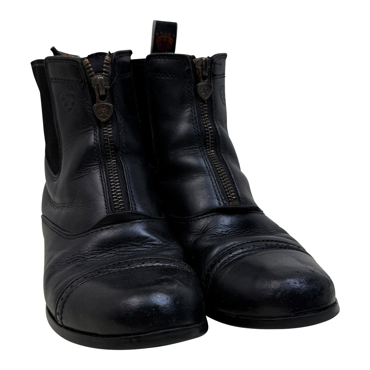 Ariat Devon III Paddock Boots in Black 