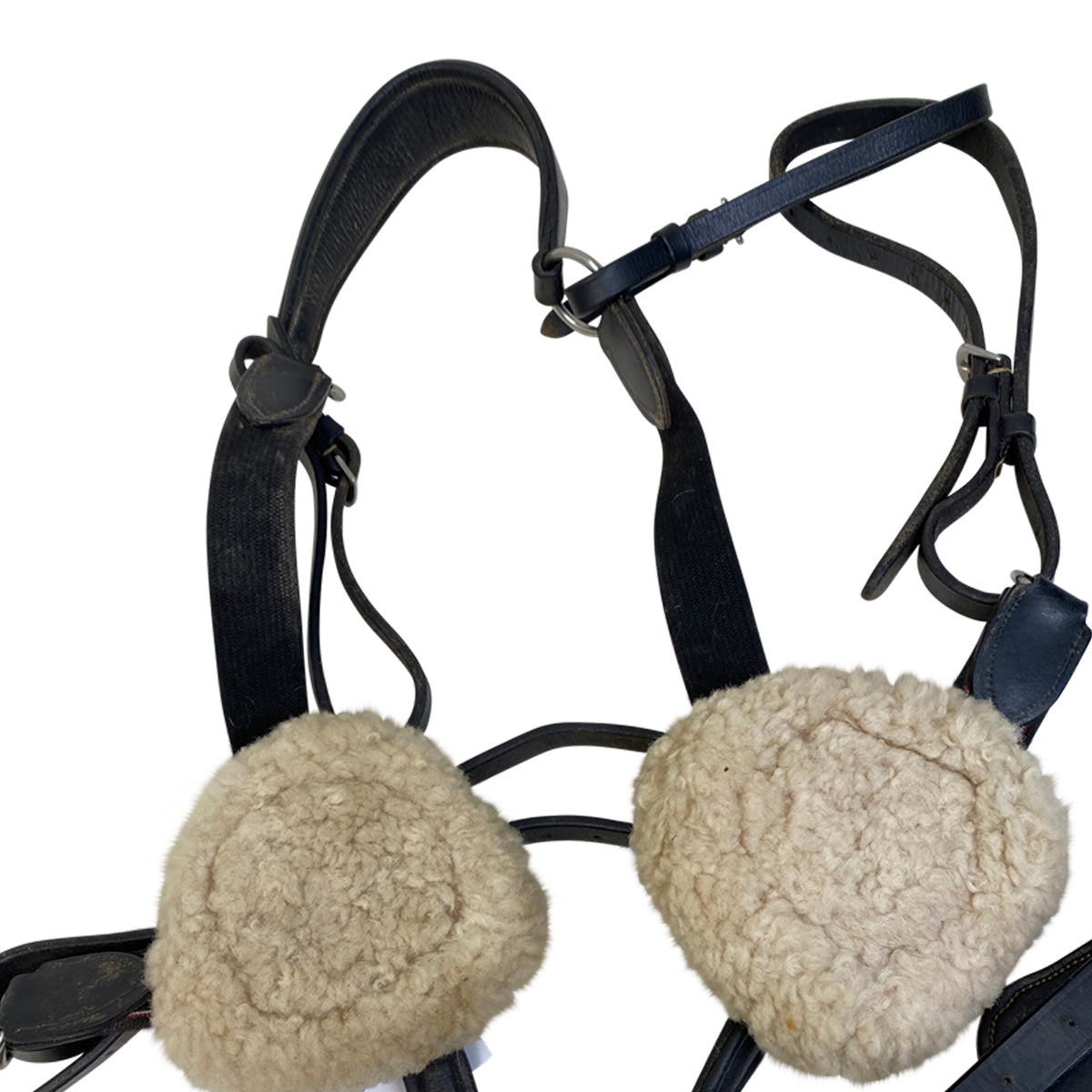 Albion 5 Point Breastplate in Black
