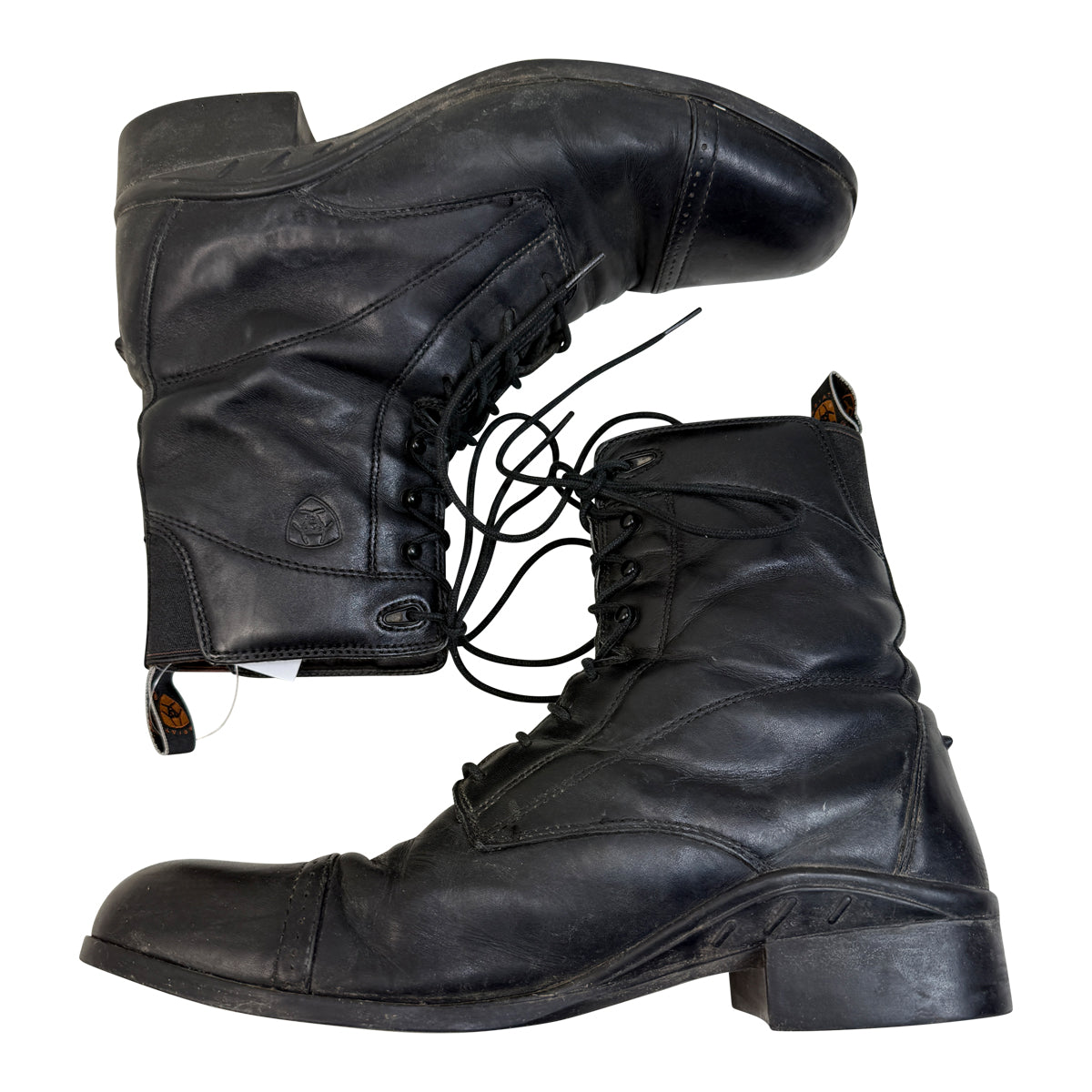 Ariat 'Scout' Lace Up Paddock Boot in Black