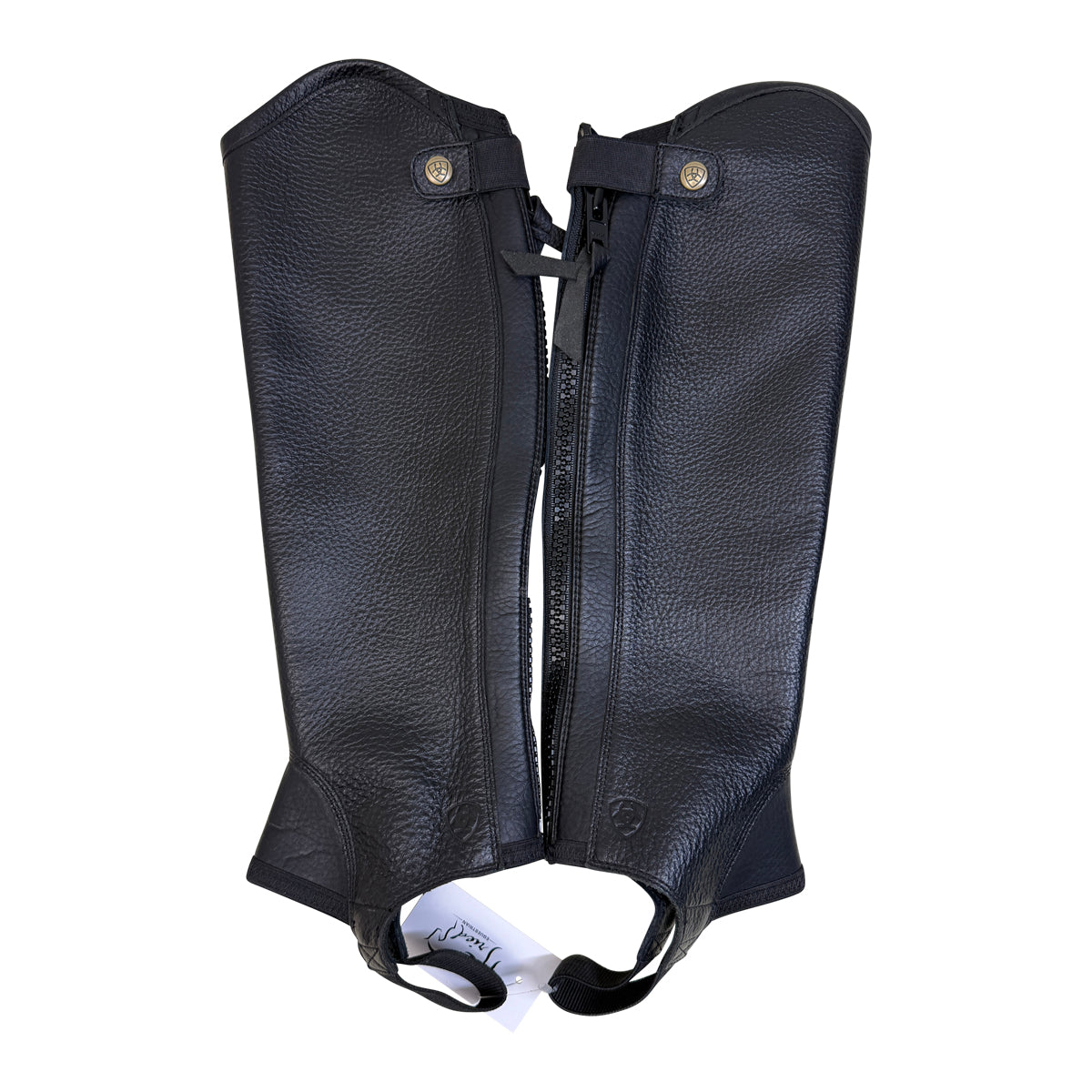 Ariat Concord Half Chaps in Black