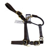 Equinavia 'Valkyrie' Triple Stitch Halter in Brown