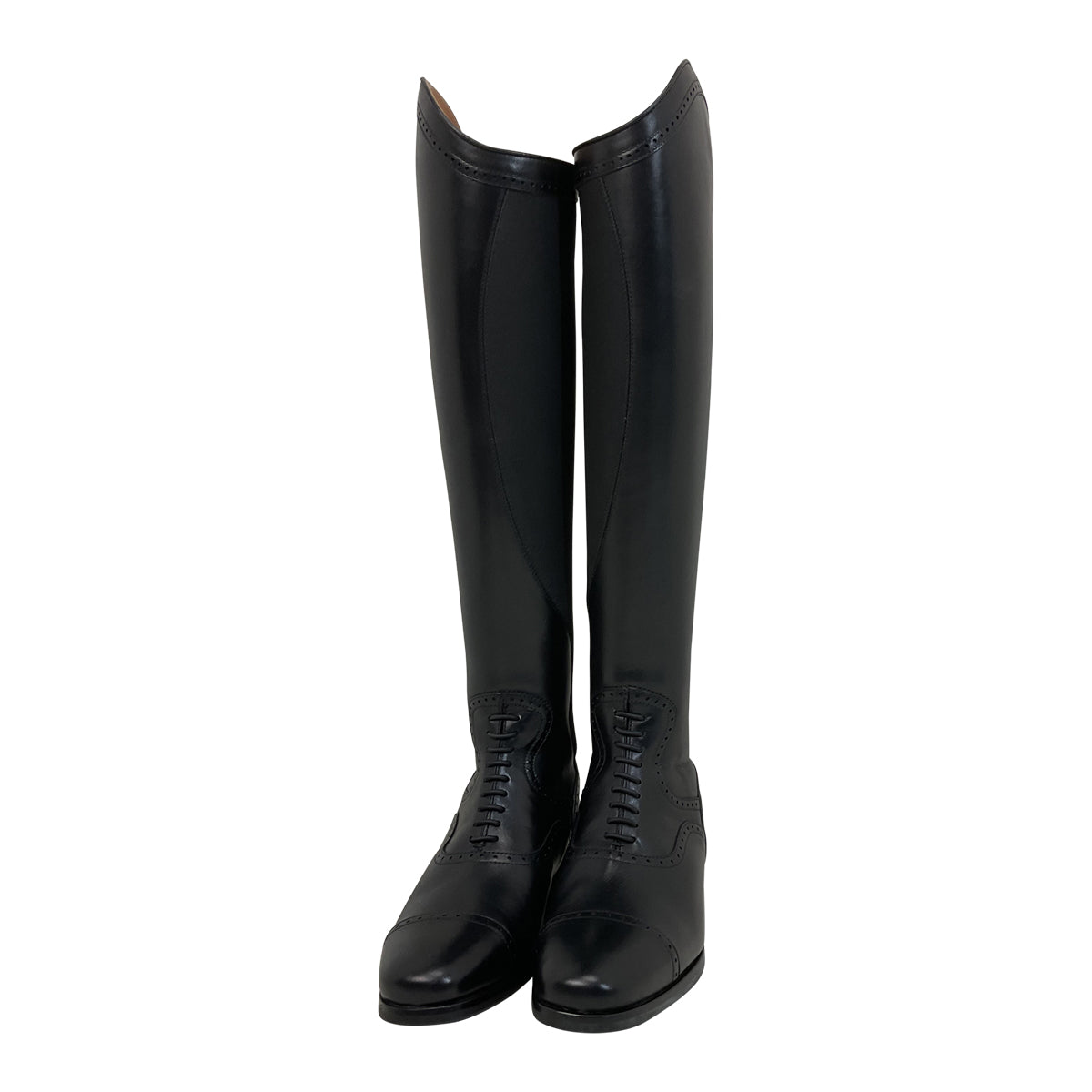 Alberto Fasciani Tall Field Boots in Blac