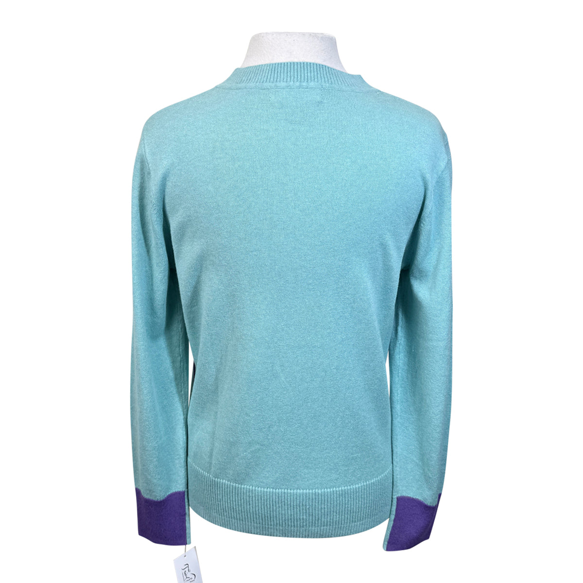Essex 'Luca' Crew Neck Sweater in Teal/Purple