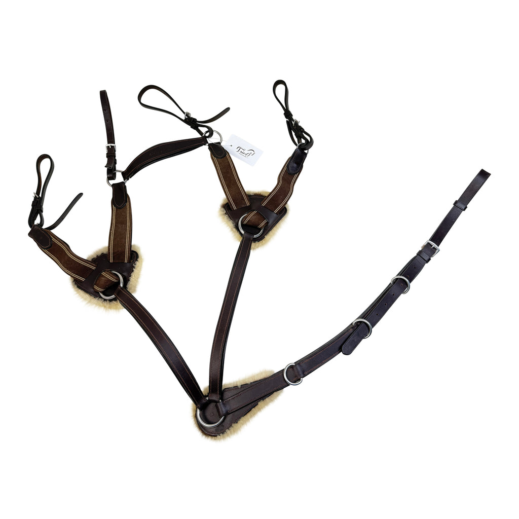 Shires Avignon 5-Point Breastplate in Havana