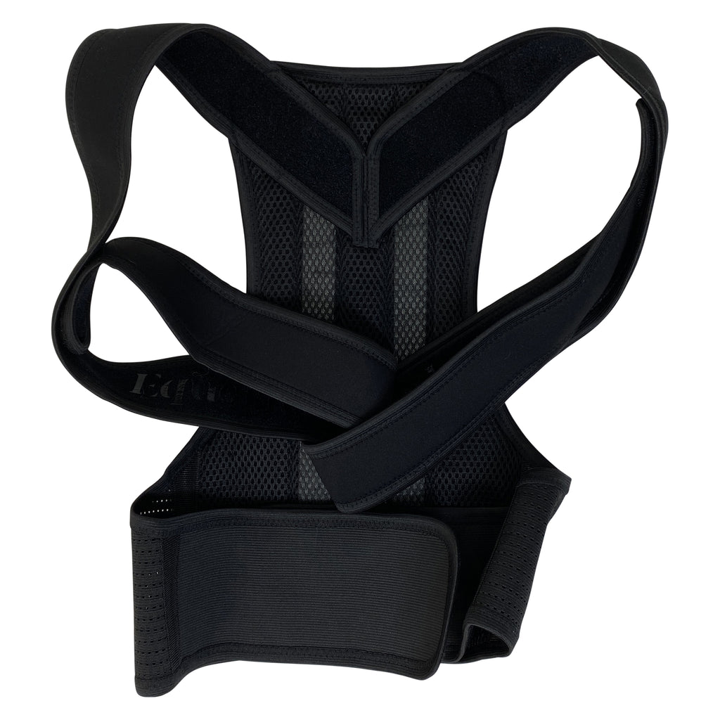 Equestorian Back Brace in Black - Small