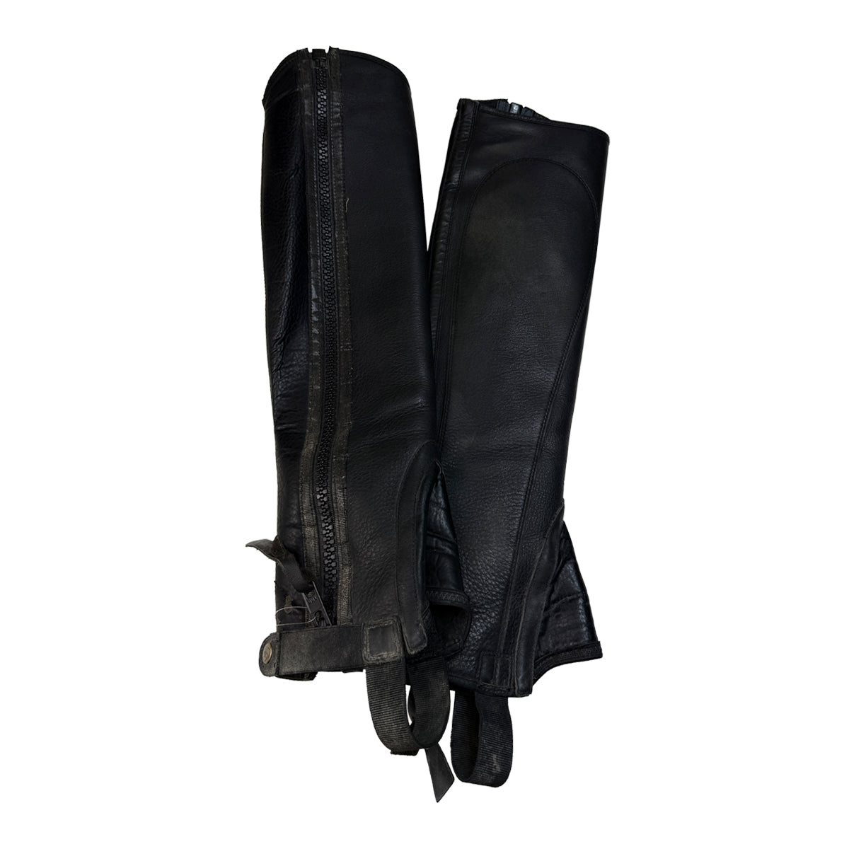 Ariat Cameo Half Chaps in Black