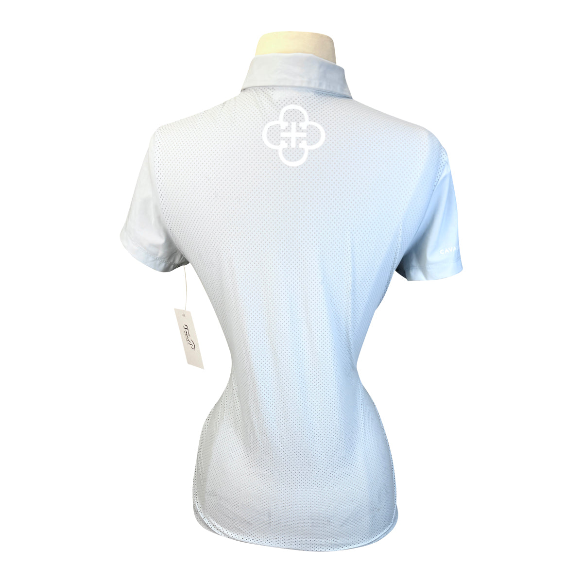 Cavalleria Toscana Perforated Striped Jersey Short Sleeve Training Polo in Mint