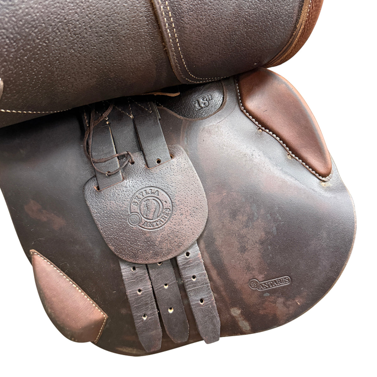 Antares Skylla 2019 Jump Saddle in Brown