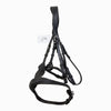 Exion Jumping Bridle w/ Combined Flash in Black