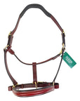 Dover Saddlery Ergonomic Leather Halter in Oakbark