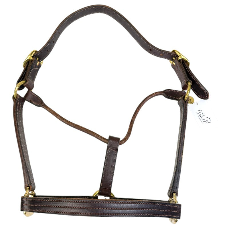 HFP Triple Stitched Leather Halter in Brown