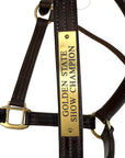 HFP Triple Stitched Leather Halter in Brown