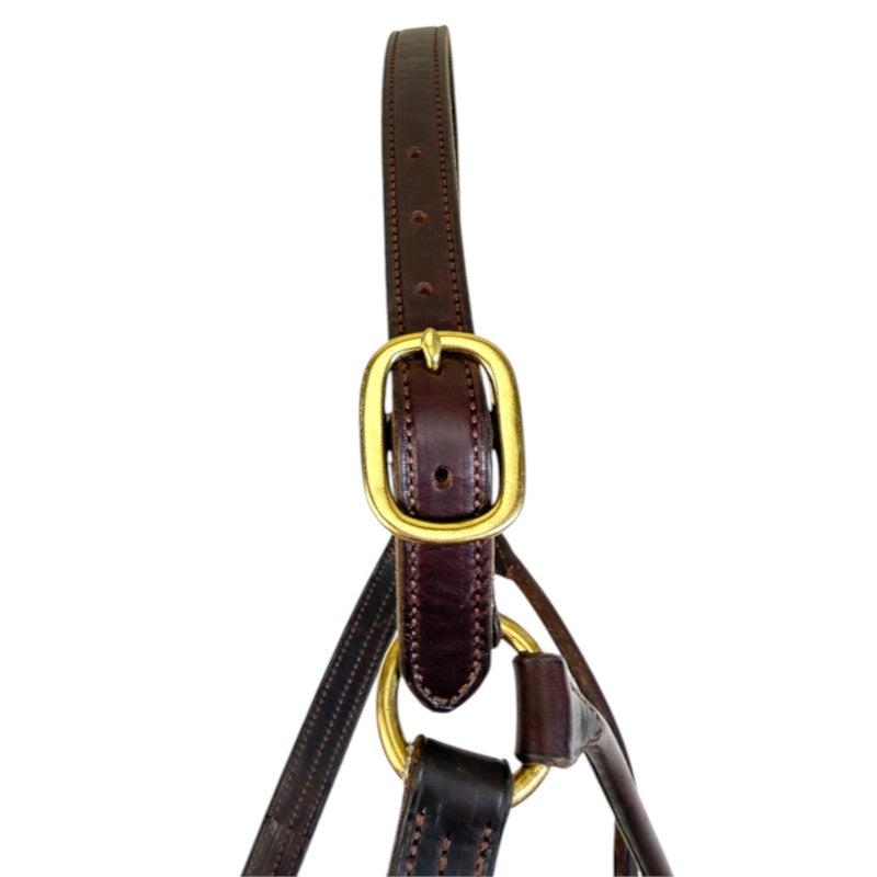 HFP Triple Stitched Leather Halter in Brown