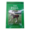 Understanding the Foal - Christina S. Cable