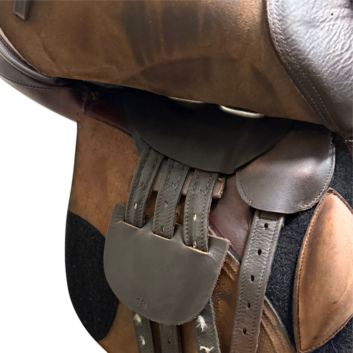 Pegasus 'Whitney II' All Purpose Saddle in Brown - 18"