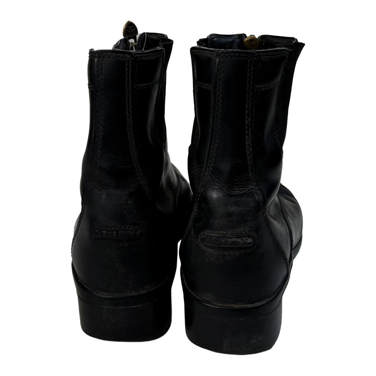 Ariat Scout Paddock Boots in Black 