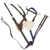 Five Point Breastplate w Running Martingale in Brown/Blue - Full
