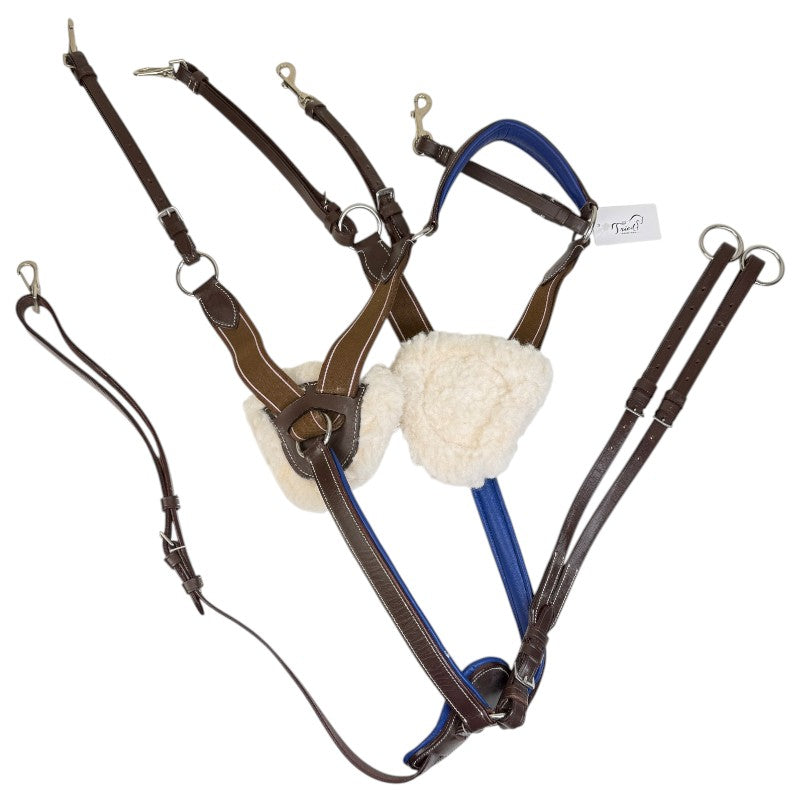 Five Point Breastplate w Running Martingale in Brown/Blue - Full