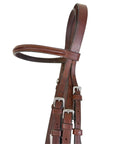 Plain Raised Bridle in Oakbark