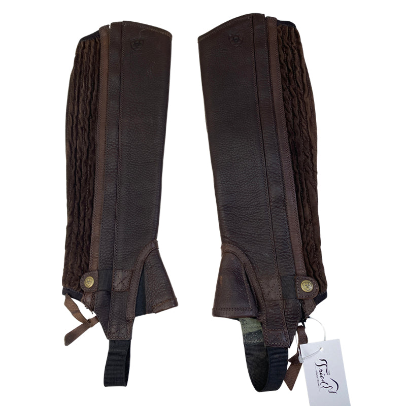 Side Products Ariat All Around Half Chaps III in Chocolate