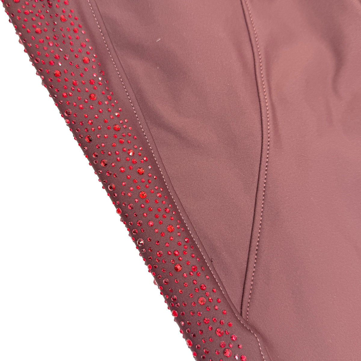 Sync Equestrian Dragon Rhinestone Breeches in Wine