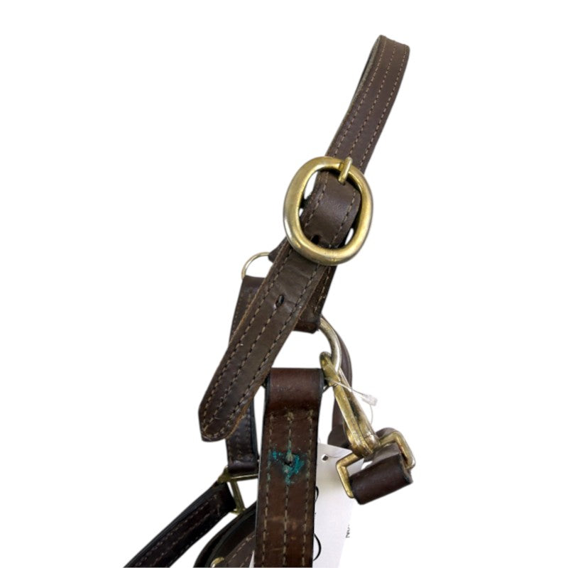 Leather Halter in Brown