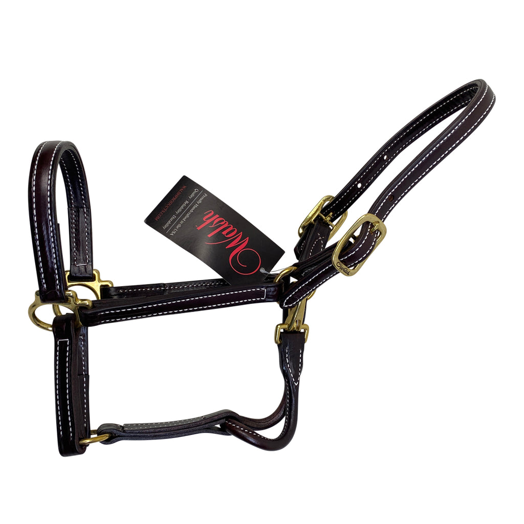Walsh 'Showman' Leather Halter in Havana