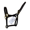Leather Halter in Brown 