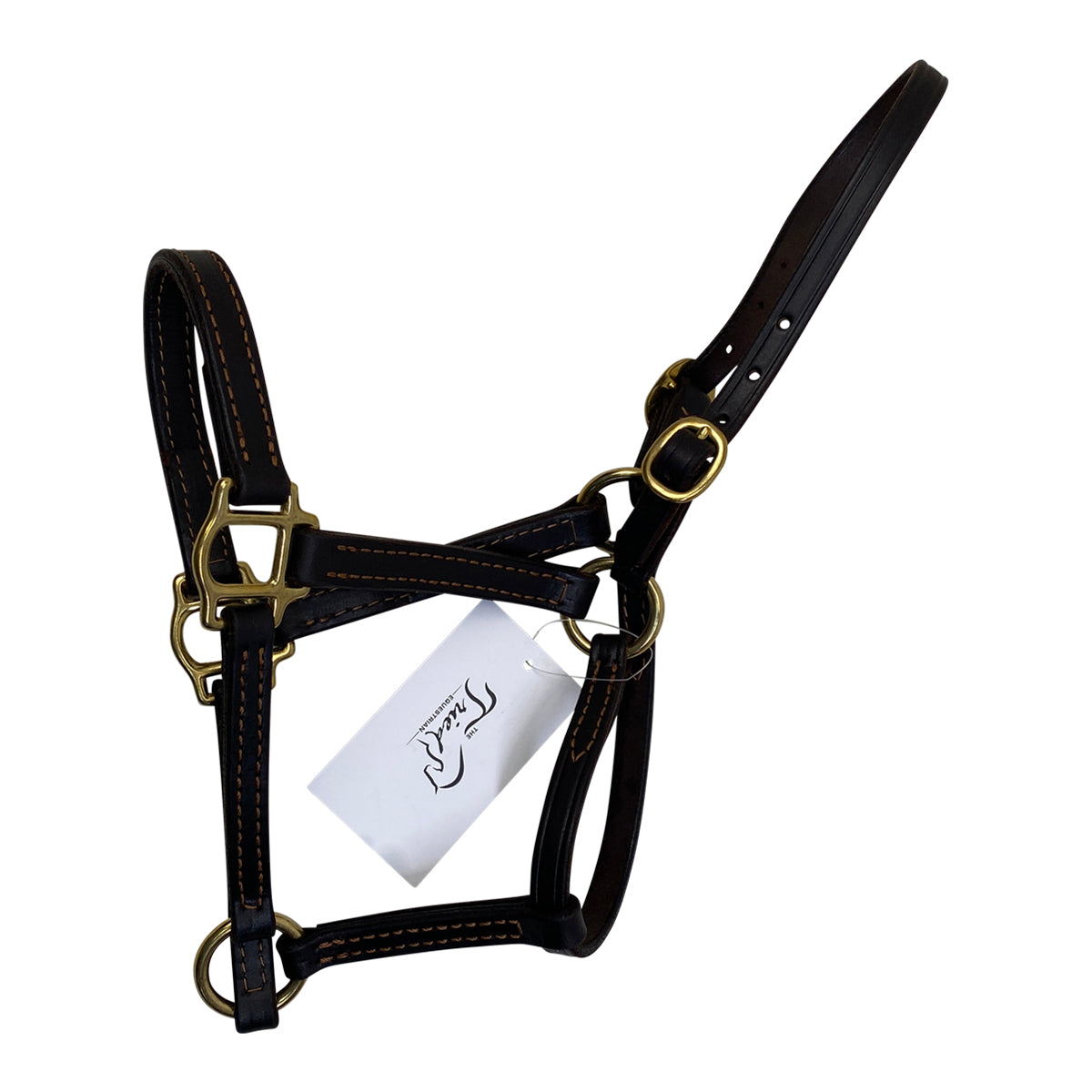 Leather Halter in Brown 